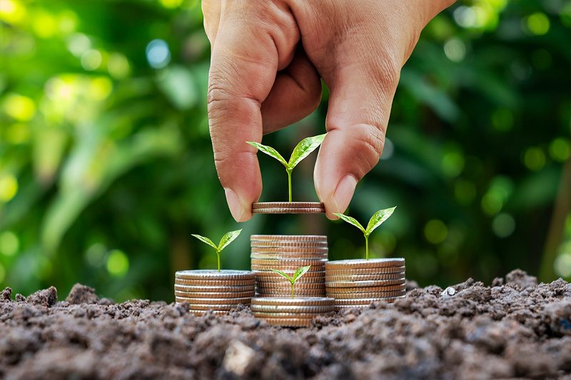 accumen-wealth-service-1